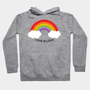 Love has no boundaries: Love is Love Hoodie